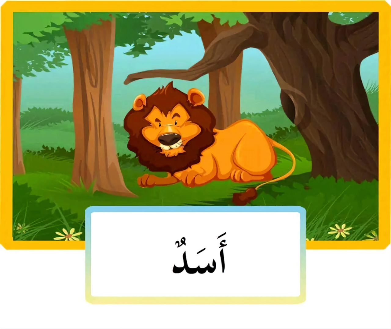 الحيوانات
