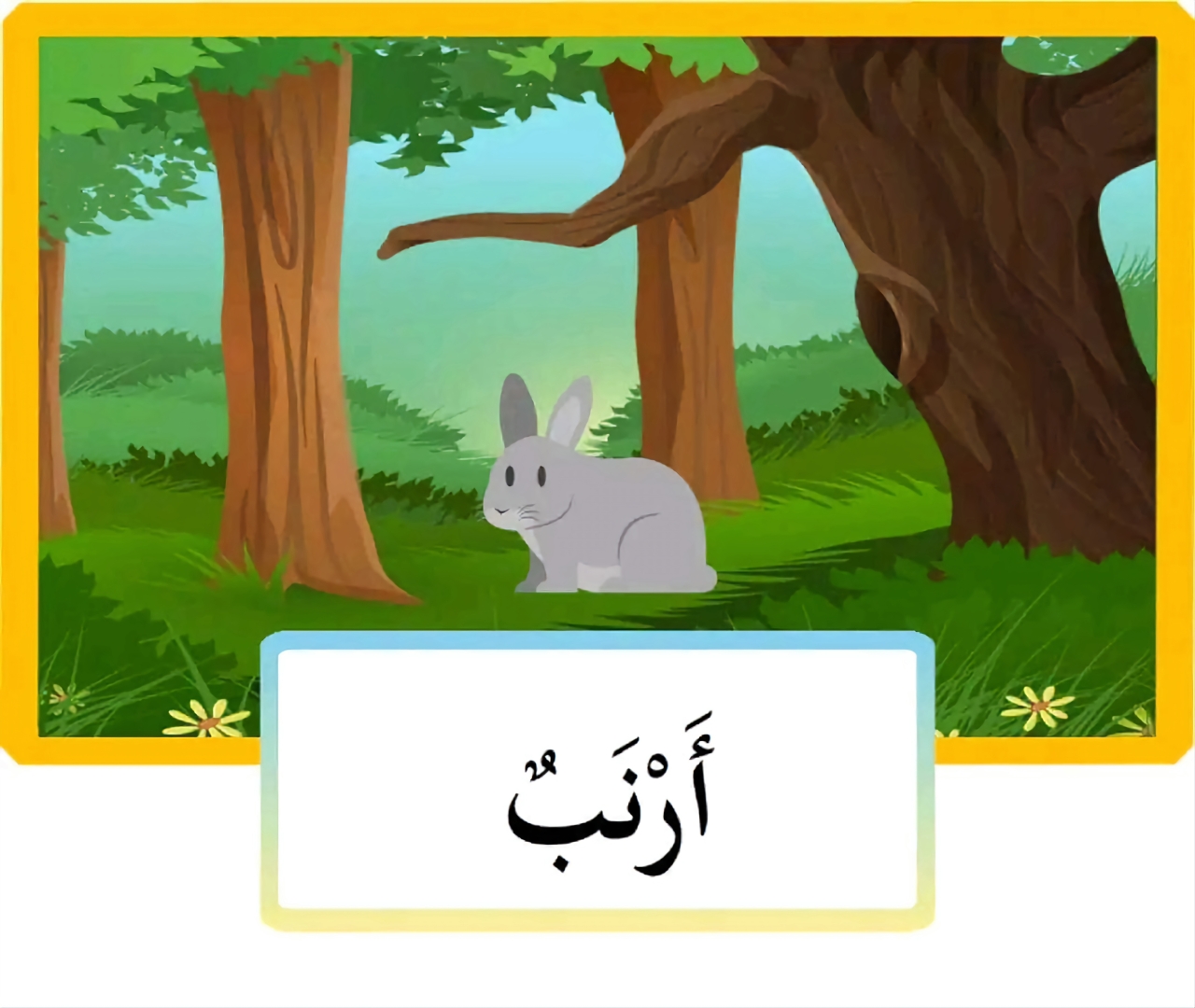 الحيوانات